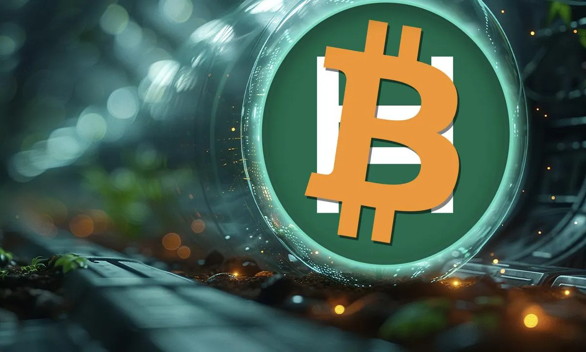 Hedera tích hợp WBTC để mở khóa Bitcoin DeFi cho người dùng