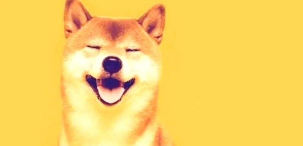 Giá Dogecoin hướng tới mục tiêu phục hồi về mức 0,16 đô la nếu mức sàn 0,14 đô la tiếp tục được giữ vững