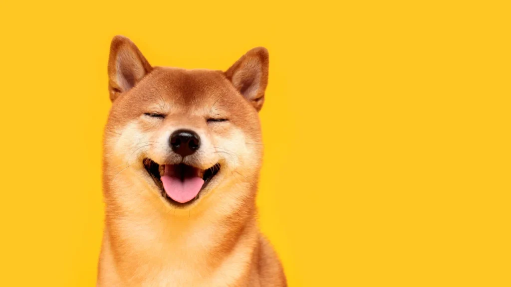 Liệu giá Dogecoin có thể phục hồi lên mức 0,15 đô la